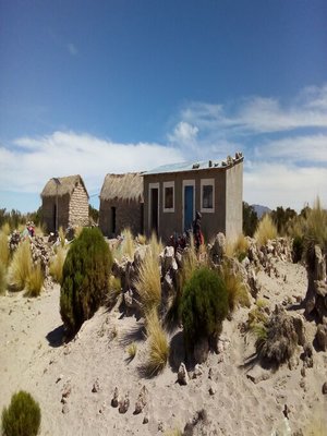 cover image of Joven viejo